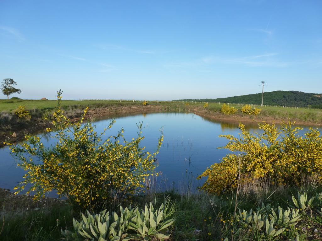 Lugny Domaine Joseph Lafarge Wine Resort Oeno-Tonneaux Experience מראה חיצוני תמונה